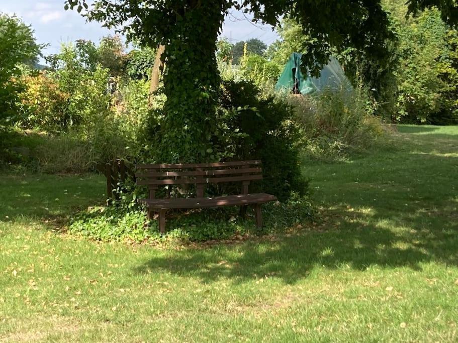Helle Wohnung Mit Wintergarten - Naehe Ruhrgebiet Und Freizeitpark Movie Park Bottrop Exterior foto